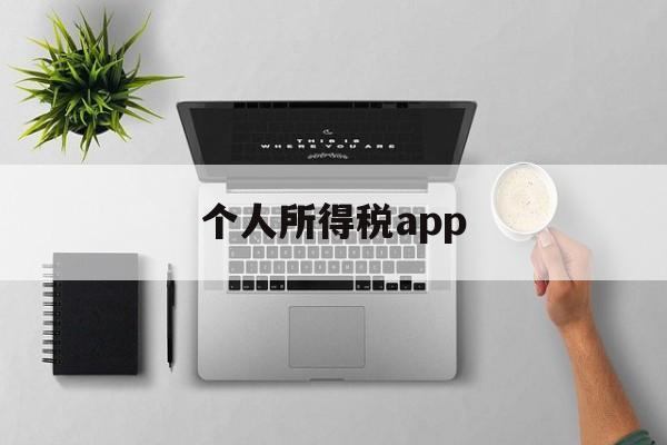 个人所得税app(个人所得税app怎么填写)